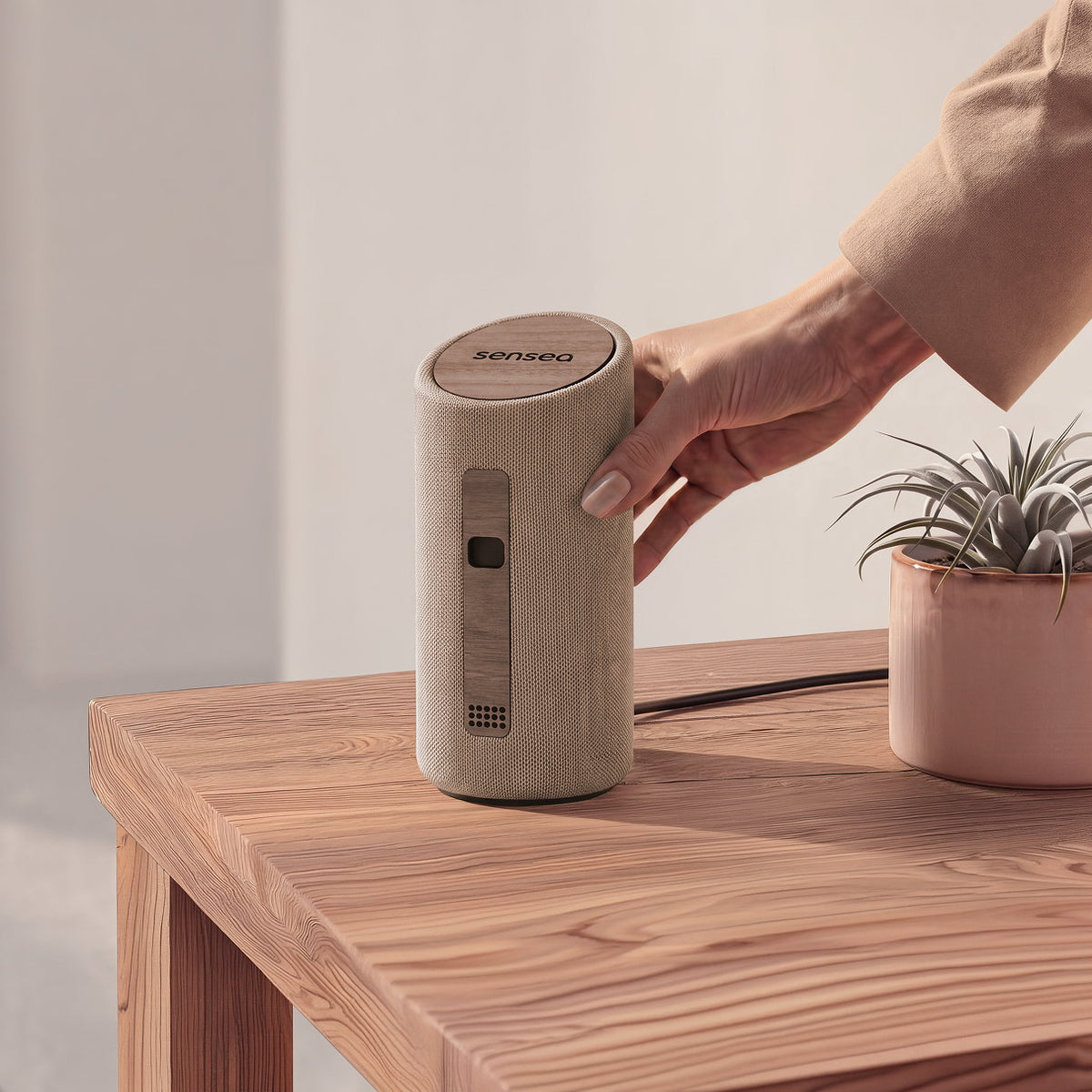 A hand setting the sensea device down on a wooden side table beside a potted plant.